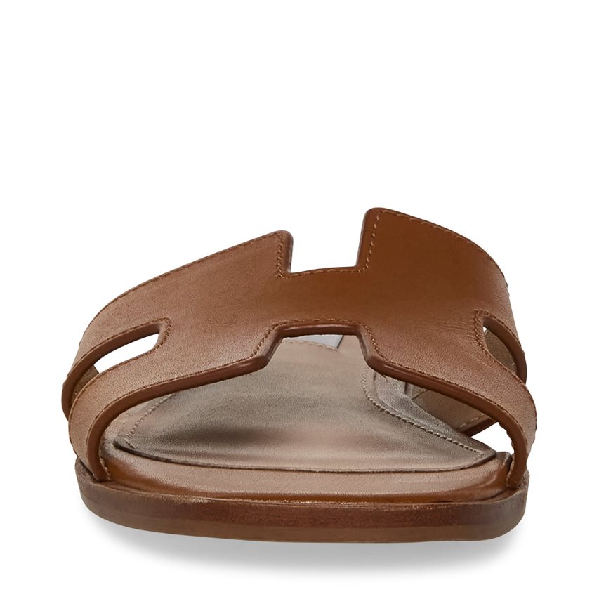 Brown Steve Madden Hadyn Leather Women's Slides | PH 432916KI